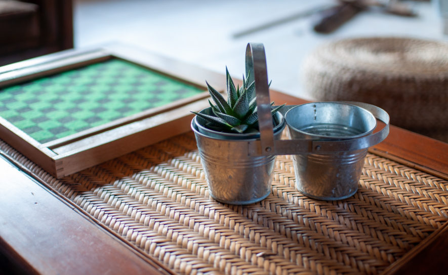 Plante grasse sur une table basse du salon du gite en dombes